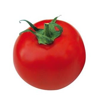 Tomate Fandango F1