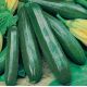 Courgette Black Beauty BIO