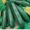 Courgette Black Beauty BIO