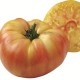 Tomates ananas