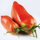 Tomates cornue des andes