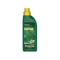 Engrais plante verte et Ficus 500 ml Pokon