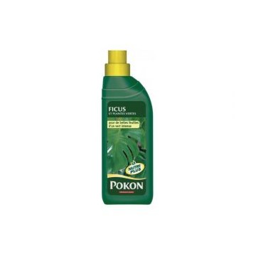 POKON Engrais plante verte et Ficus 500 ml