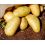 Pomme de terre Amandine