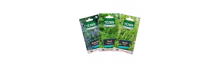 AROMATIQUES TEZIER