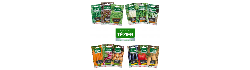 POTAGÈRES TEZIER