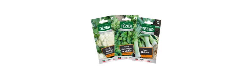 LEGUMES FEUILLES