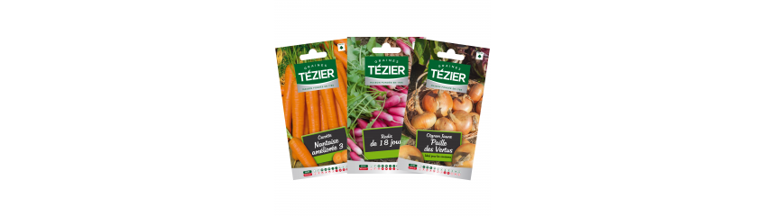 LEGUMES RACINES