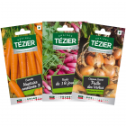 LEGUMES RACINES