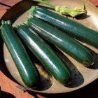 COURGETTES