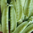 POIS MANGETOUT