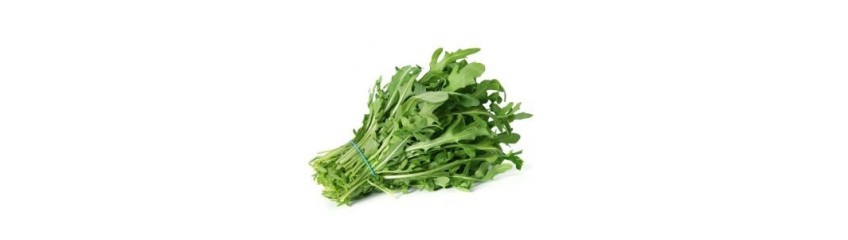 ROQUETTE