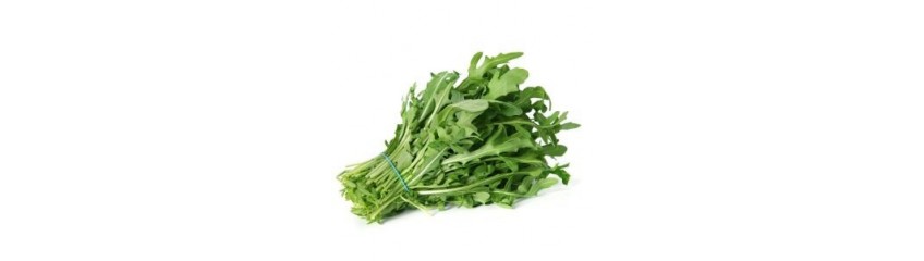 ROQUETTE