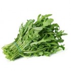 ROQUETTE