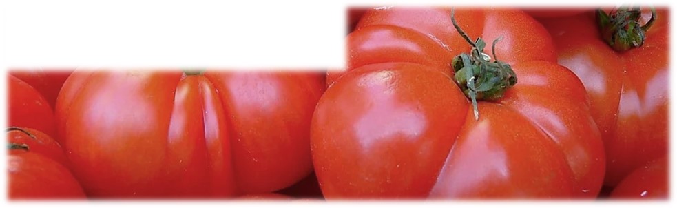 Des Tomates Savoureuses